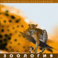 Зоология