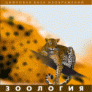 Зоология